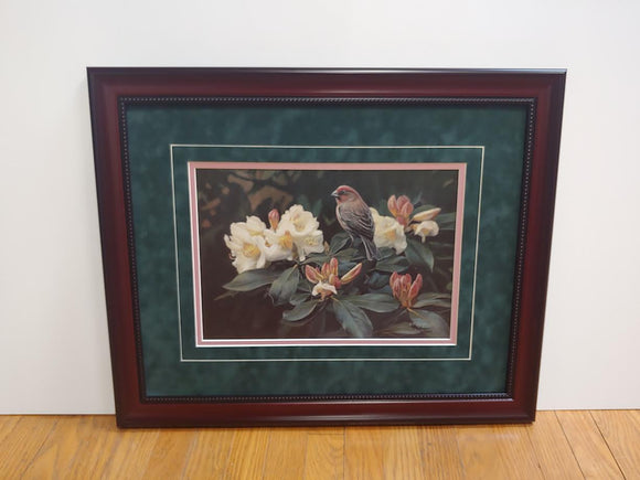 Garden Home - Terry Isaac