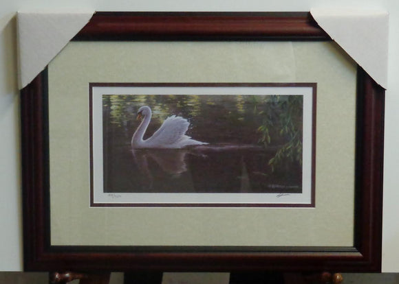 Last Light Swan - Wicks