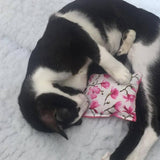 6 x Krazy Kitty Cushion Cat Toys - Contains Unique Mixture Organic of Feline Herbs!