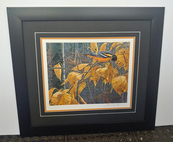 Cottonwood Gold Baltimore Oriole - John Seerey Lester