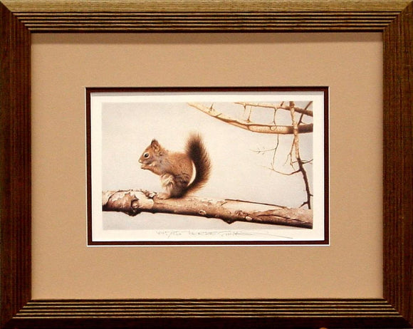 Frequent Visitor - Surtes