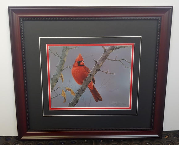 Hot Shot Cardinal - Daniel Smith