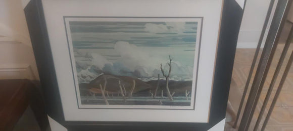 Franklin Carmichael Dround Land