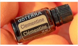 Clementine Oil  15ml