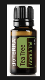 Tea Tree Oil