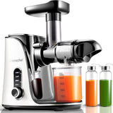 AMZCHEF Slow Juicer with Two Speed Modes GM3001