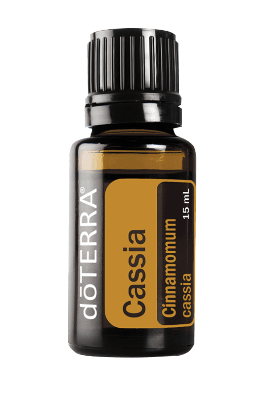 Cassia Essential Oil - 15ml