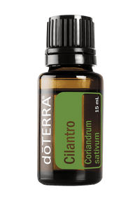 Cilantro Essential Oil - 15ml