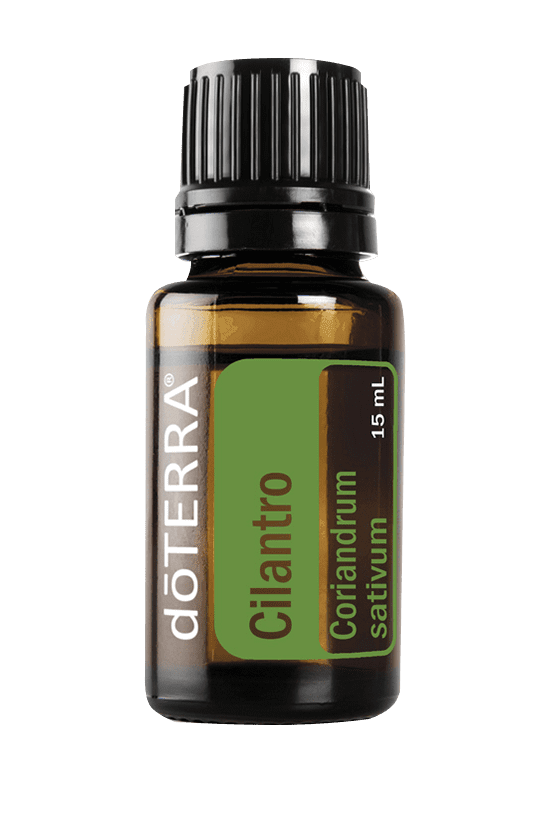 Cilantro Essential Oil - 15ml