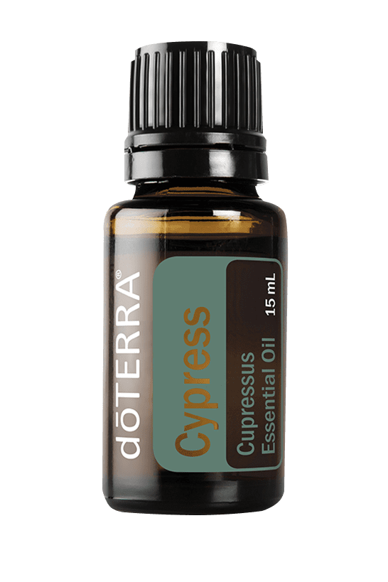 Cypress Essential Oil - 15ml