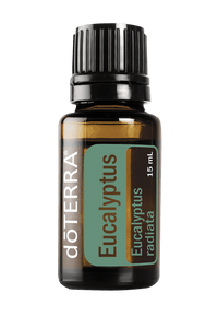 Eucalyptus Essential Oil - 15ml