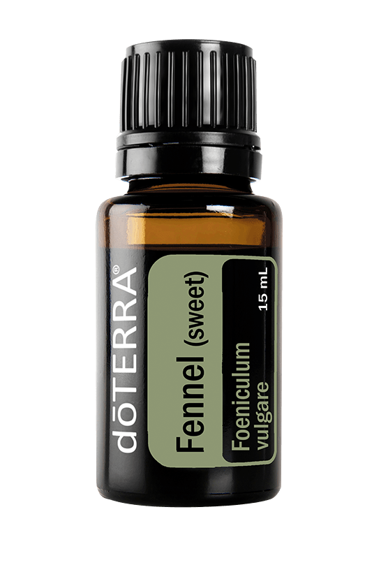 Fennel Essential Oil - 15ml