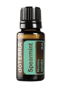Spearmint Essential Oil - 15ml