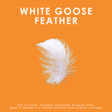White Goose Feather Duvet (Twin)