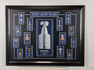 64-193 Framed NHL Trophy Collage
