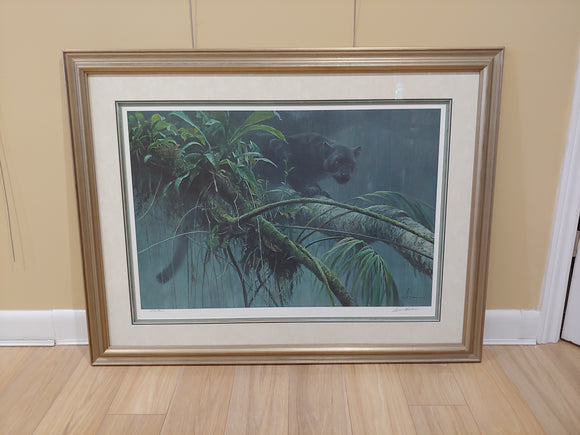 Shadows of the Rainforest - by Robert Bateman