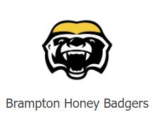 2024 Season Tickets - Brampton Honey Badgers - Gold Seating for 2