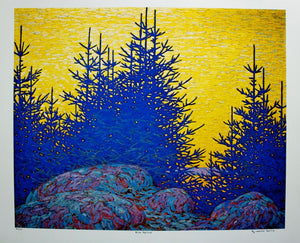 Limited Edition Print - Blue Spruce