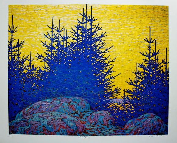 Limited Edition Print - Blue Spruce