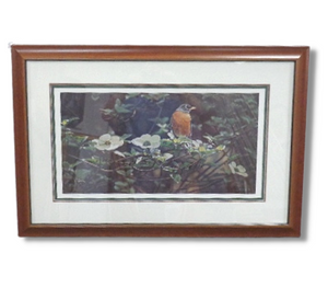 'Backyard Robin' Limited Edition