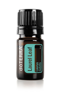 Laurel Leaf Essential Oil - 5ml