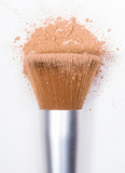 Elate Cosmetics Multiuse Brush