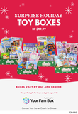 Surprise Toy Box - Boy 4-5
