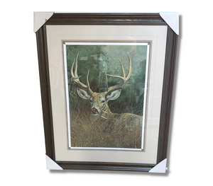 'Peaceful Whitetail Deer' Limited Edition