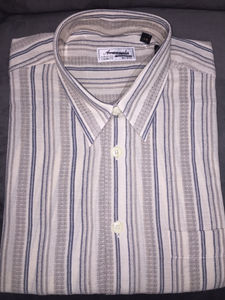 Short Sleeve Shirt (Bluish Grey Stripe) - Large